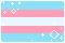 trans Pride Flag trans pride flag